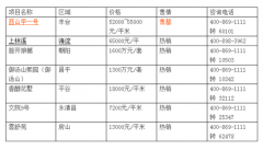 兩神盤總價與速度一起飛 西山甲一號兩小時售罄